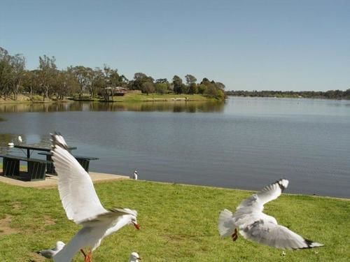 Centre Town Motel Nagambie Exterior photo